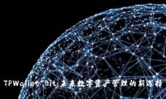 TPWallet Bit：未来数字资产管理的新选择