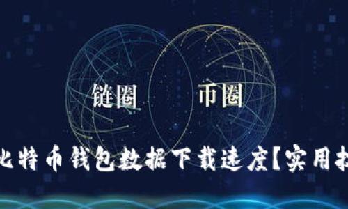 如何提升比特币钱包数据下载速度？实用技巧与建议