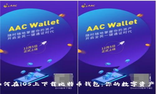 бра如何在iOS上下载比特币钱包：你的数字资产安全之路