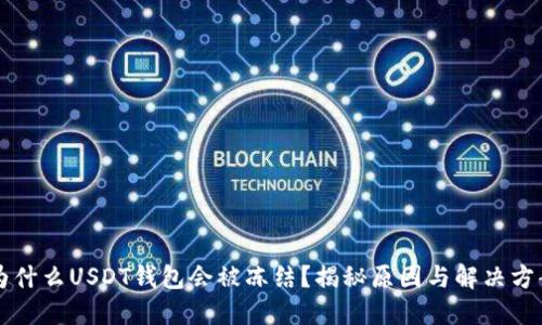 为什么USDT钱包会被冻结？揭秘原因与解决方案