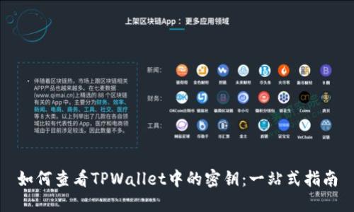如何查看TPWallet中的密钥：一站式指南