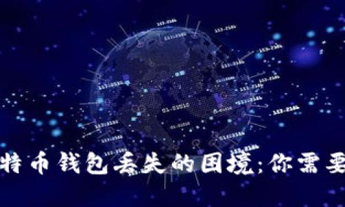 如何应对比特币钱包丢失的困境：你需要知道的一切