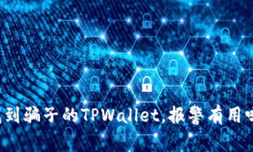 找到骗子的TPWallet，报警有用吗？