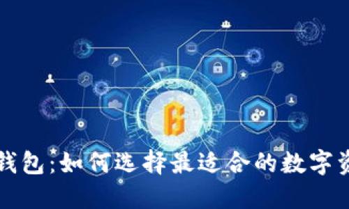 比特币矿工钱包：如何选择最适合的数字资产管理工具