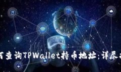如何查询TPWallet持币地址：详尽指南