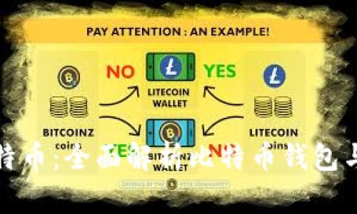 如何安全存储比特币：全面解析比特币钱包与地址的使用技巧