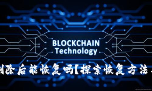 TP钱包被删除后能恢复吗？探索恢复方法与最佳实践