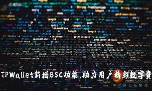 电脑版TPWallet新增BSC功能，助力用户精彩数字资产之旅