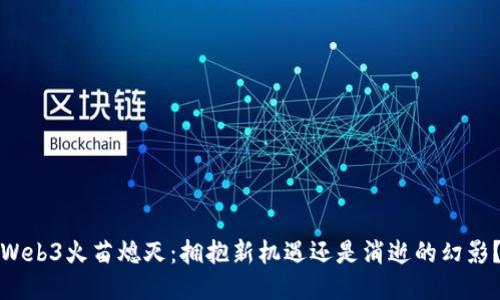 Web3火苗熄灭：拥抱新机遇还是消逝的幻影？