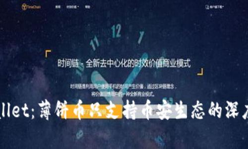 TPWallet：薄饼币只支持币安生态的深度解析