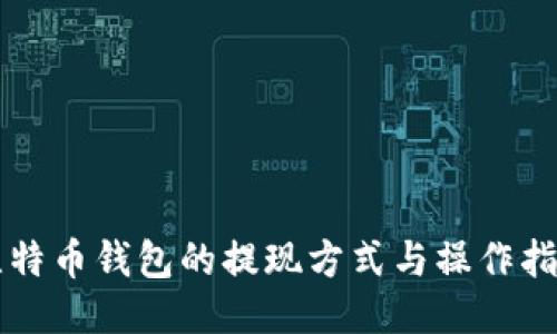 比特币钱包的提现方式与操作指南