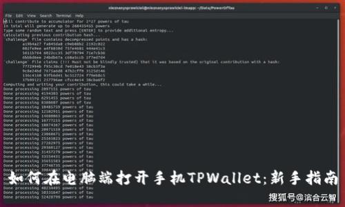 如何在电脑端打开手机TPWallet：新手指南