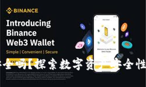 TPWallet安全吗？探索数字资产安全性及使用指南