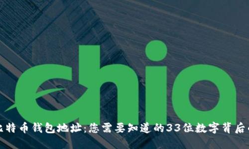 揭秘比特币钱包地址：您需要知道的33位数字背后的秘密