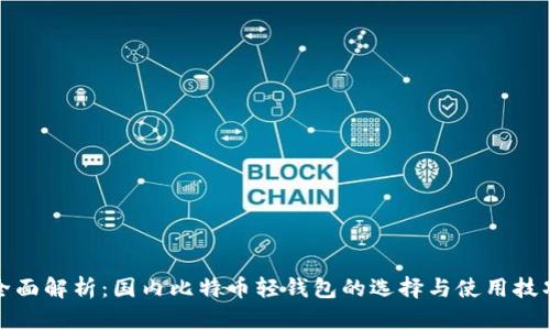 全面解析：国内比特币轻钱包的选择与使用技巧