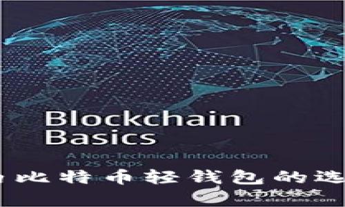 全面解析：国内比特币轻钱包的选择与使用技巧