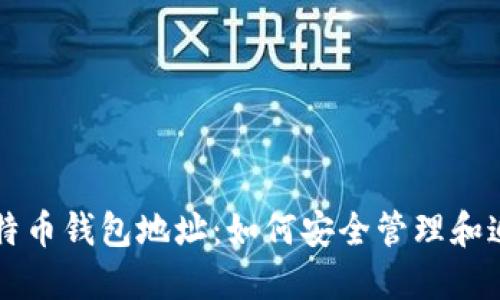 美国政府比特币钱包地址：如何安全管理和追踪数字资产
