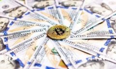 如何选择和下载比特币钱包制作软件？简单指南