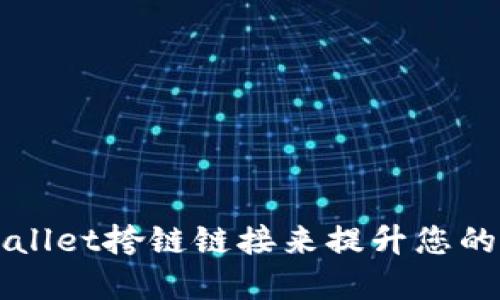 如何使用TPWallet挎链链接来提升您的数字资产管理