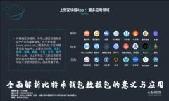 全面解析比特币钱包数据包的意义与应用