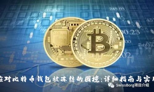 如何应对比特币钱包被冻结的困境：详细指南与实用建议
