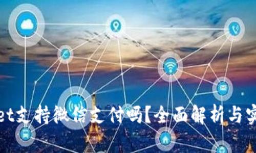 tpwallet支持微信支付吗？全面解析与实用指南