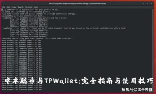 中本聪币与TPWallet：完全指南与使用技巧