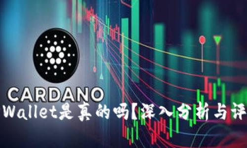 TPWallet是真的吗？深入分析与评价
