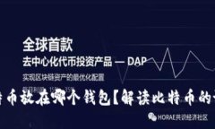 最早的比特币放在哪个钱包？解读比特币的诞生