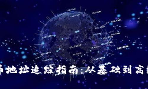 TPWallet持币地址追踪指南：从基础到高级的全面解析