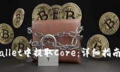 如何在TPWallet中提取Core：详细指南与步骤解析