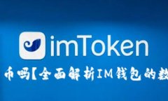 IM钱包能存比特币吗？全面解析IM钱包