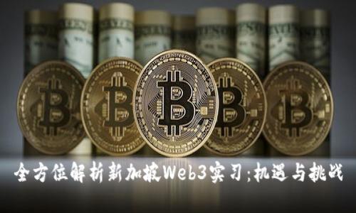 全方位解析新加坡Web3实习：机遇与挑战