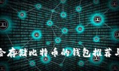 最适合存储比特币的钱包推荐与评测