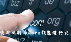 全方位指南：如何使用比特币Core钱包