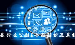 TPWallet是什么公链？全面解析及其特点