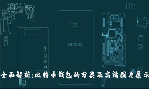 全面解析：比特币钱包的分类及高清图片展示