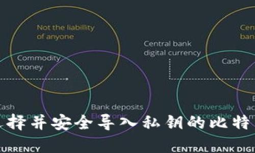 如何选择并安全导入私钥的比特币钱包
