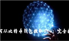 如何从比特币钱包提取BCH: 完全指南