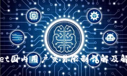 TPWallet国内用户交易限制详解及解决方案