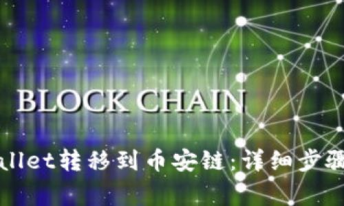 如何将TPWallet转移到币安链：详细步骤与注意事项