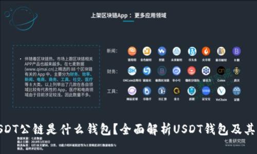 : USDT公链是什么钱包？全面解析USDT钱包及其功能