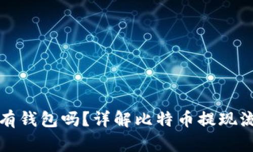 比特币提现一定要有钱包吗？详解比特币提现流程与钱包的重要性