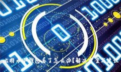 比特币冷钱包丢了怎么办？解决方案与