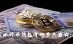 如何使用比特币钱包进行节点查询：全面指南