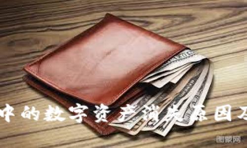 TPWallet中的数字资产消失原因及解决方案