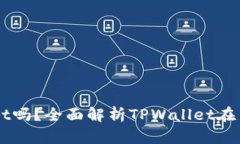 中国支持TPWallet吗？全面解析TPWallet在中国的未来