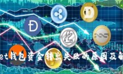 TPWallet钱包资金转出失败的原因及解决