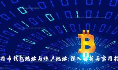 比特币钱包地址与账户地址：深入解析与实用指