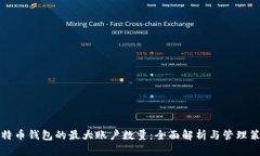 比特币钱包的最大账户数量：全面解析与管理策